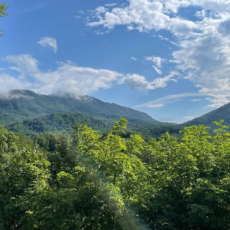 Villa Bear Doodle Sevierville Exterior foto